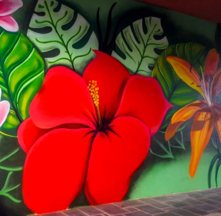 Graffiti & Décoration intérieure / extérieure, Trompe-l'œil, Fresques et Ateliers peintures