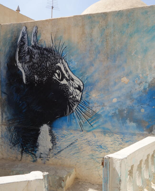 Découvrez C215, l'artiste de street-art engagé dont les fresques murales à Paris et dans le monde entier captivent par leur réalisme et leur message. Djerba_Er_Riadh_Street_Art_18