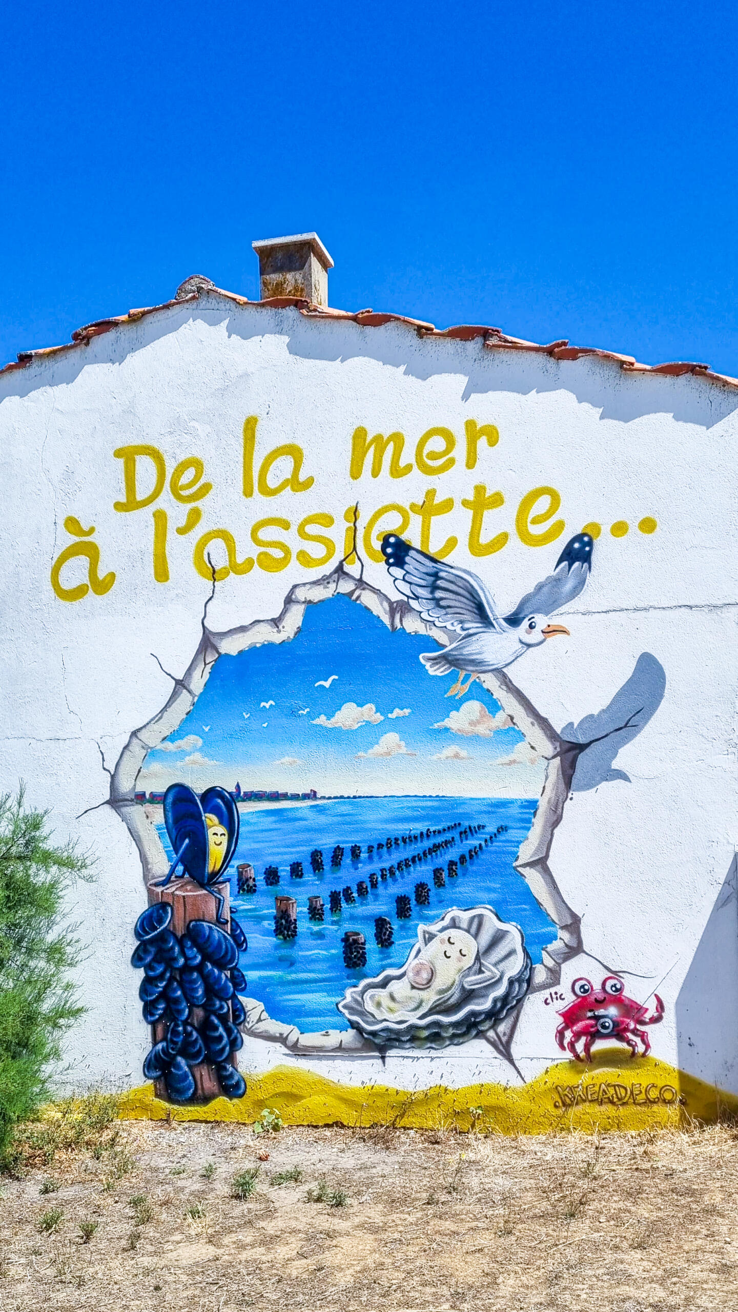 Fresque street-art graffiti La rochelle / Aytré / Yves